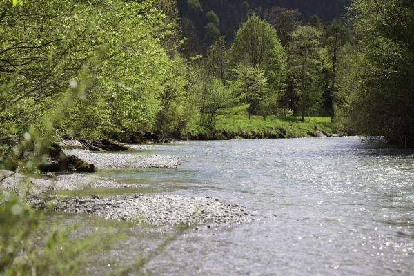Bachmair Alpina (Bayern)